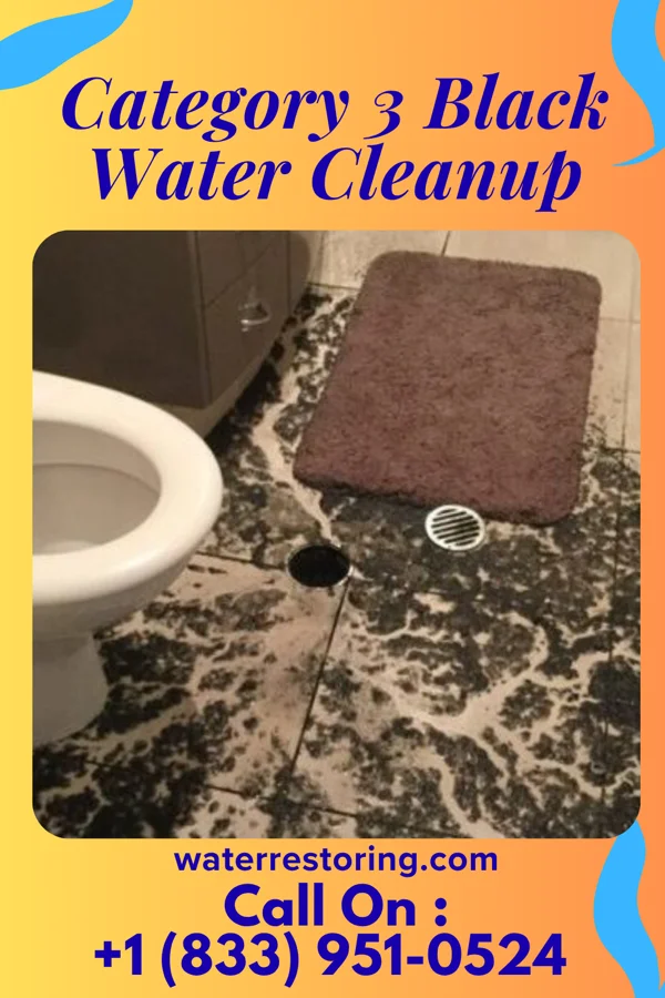 Category 3 Black Water Cleanup in Middlesex, NC