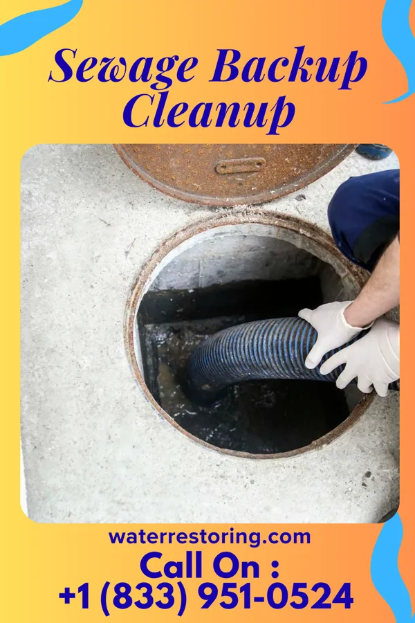 Sewage Backup Cleanup in Middlesex, NC